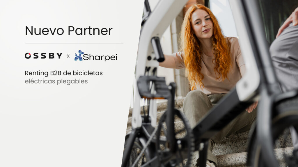 Renting para empresas de bicicletas eléctricas