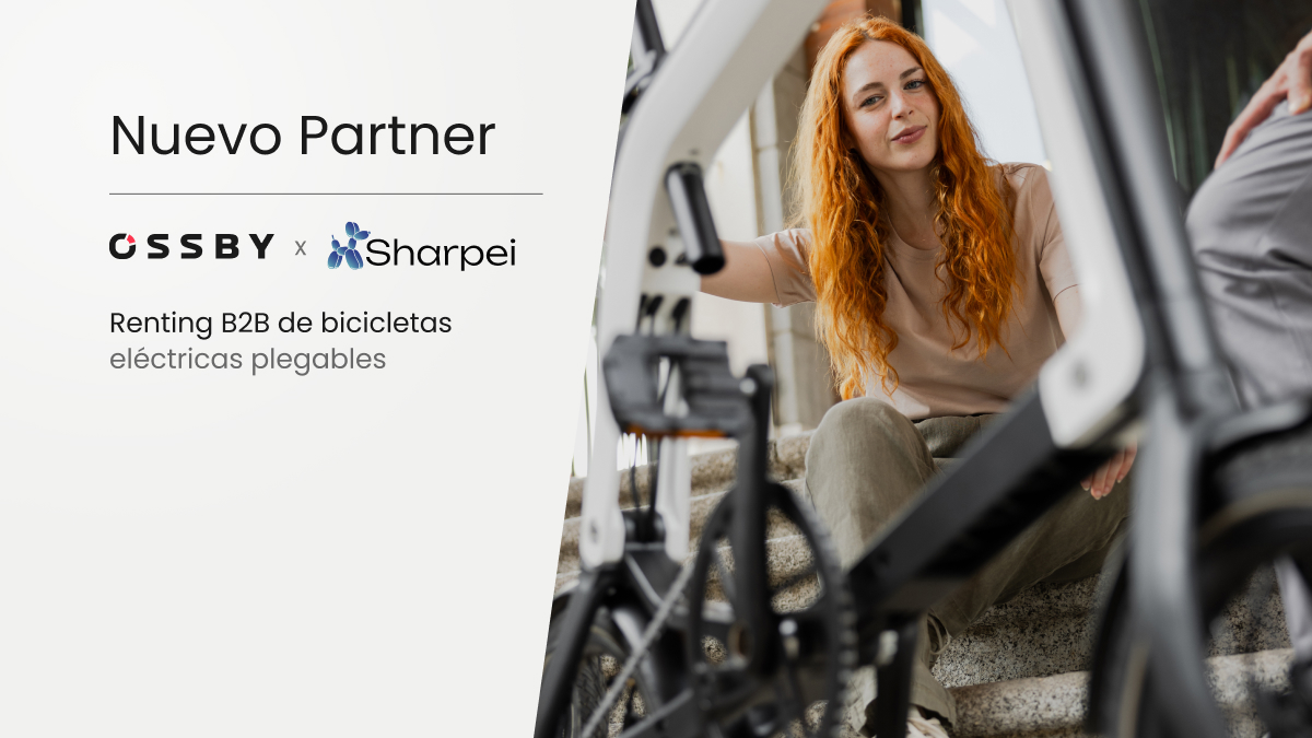 Renting para empresas de bicicletas eléctricas